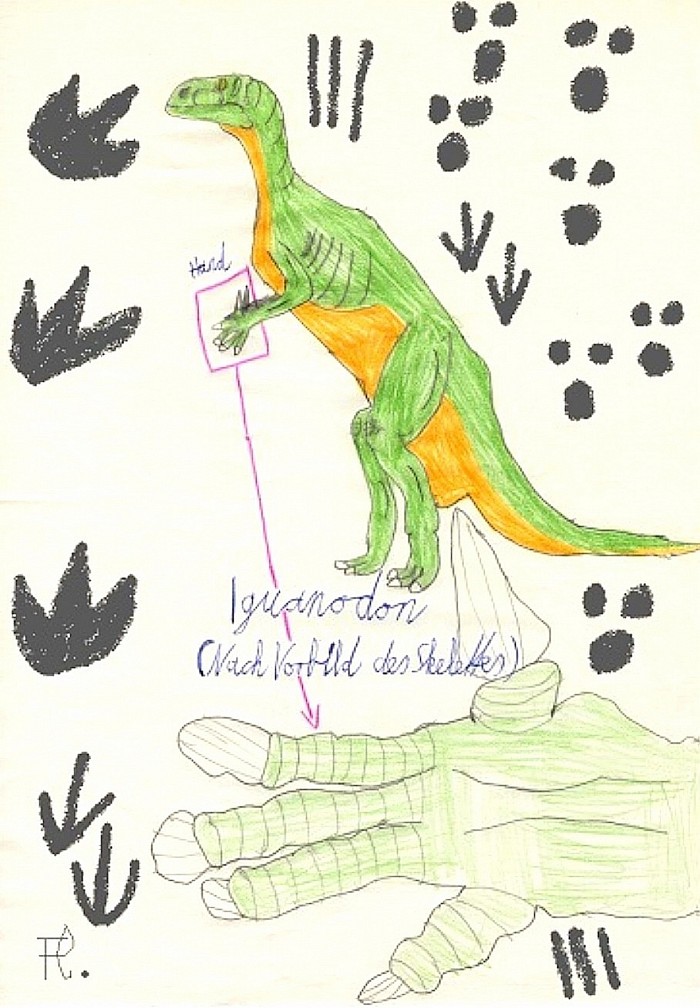 Iguanodon : ZeichenStudie nach Vorbild seines Skelettes und seiner Handknochen.  Aus einem Dinosaurier - Sammelheft.