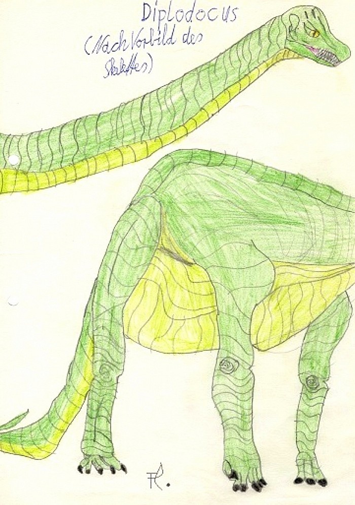 Diplodocus : ZeichenStudie nach Vorbild seines Skelettes aus einem Dinosaurier - Sammelheft.