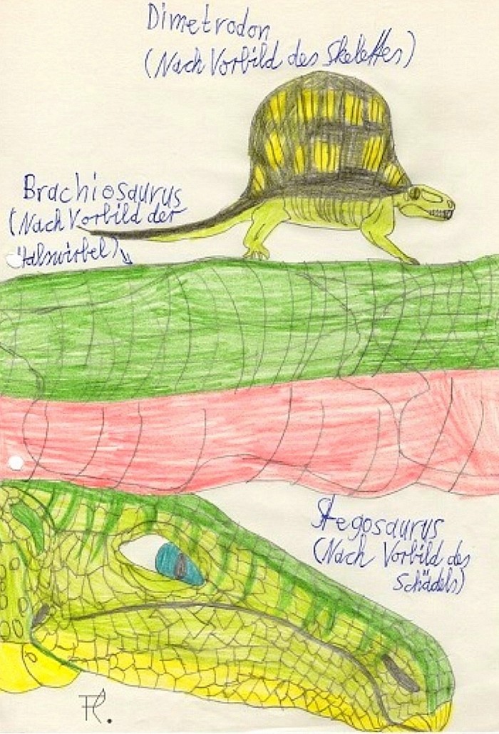 ZeichenStudien nach Vorbild der Skelette : Dimetrodon : Herkunft nicht mehr ganz bekannt.  Hals des Brachiosaurus  und Schädel des Stegosaurus : Jeweils aus einem anderen Dinosaurier - Sammelheft.