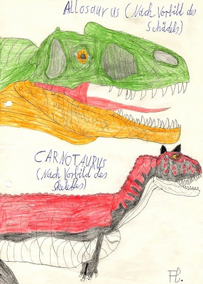 ZeichenStudien : Allosaurus, nach Vorbild des Schädels und Carnotaurus nach Vorbild seines Skelettes, jeweils aus einem anderen Dinosaurier - Sammelheft.