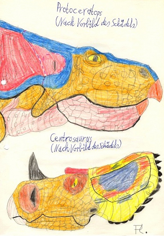 ZeichenStudien : Protoceratops und Centrosaurus, jeweils nach Vorbild des Schädels aus einem anderen Dinosaurier - Sammelheft.