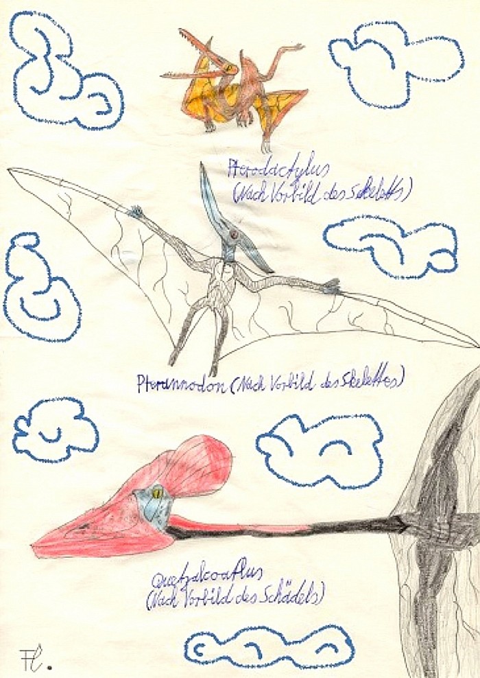 Pterosaurier : ZeichenStudie nach Vorbild von Skeletten und einem Schädel aus Fachzeitschriften.