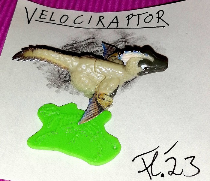 .... Velociraptor : Ausgegrabenes Skelett und das lebendige Tier, wie es auf dem heutigen Stand der Wissenschaft wahrscheinlich ausgesehen hatte.